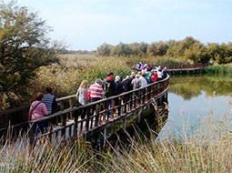 Turismo rural en Malagón. Actividades.