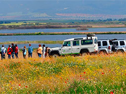 Turismo rural en Malagón. Actividades.