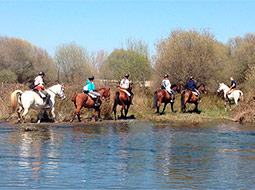 Turismo rural en Malagón. Actividades.