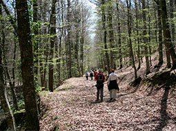 Turismo rural en Valdeverdeja. Actividades.