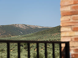 Casa rural en Malagón, Ciudad Real.