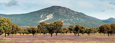 Casa Rural La Campera. El entorno.